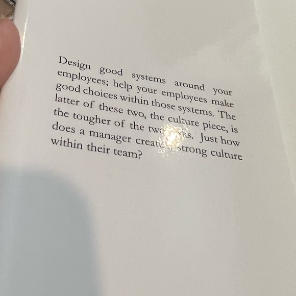 📚 Dave's Subs: A Novel Story About Workplace Accountability - Picture 8 of 8